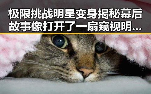极限挑战明星变身揭秘幕后故事像打开了一扇窥视明星的真相